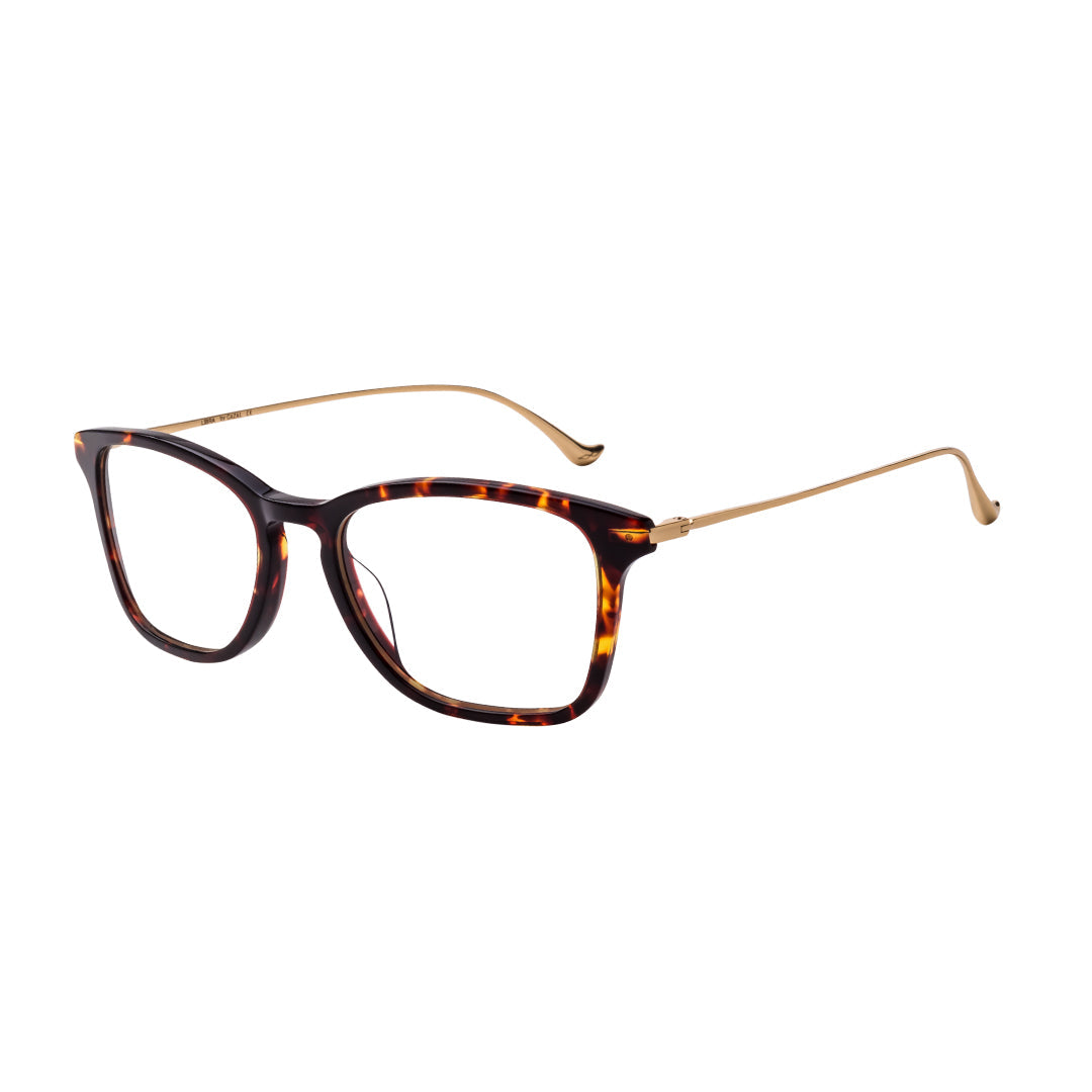 Wicked Collection by Gazal Eyewear
