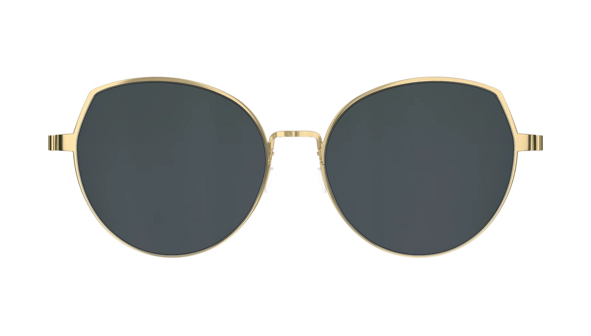 Lindberg TITANIUM 8913 - Gold - PGT / 135 - Normal / Grey Polarized