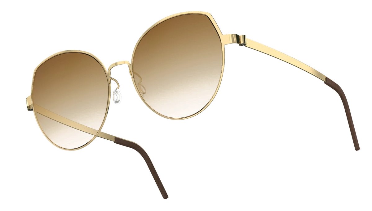 Lindberg TITANIUM 8913 - Temple Detail