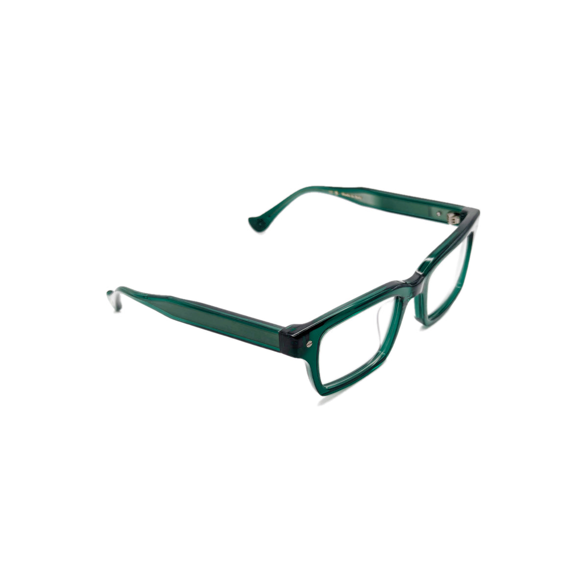 Gazal Eyewear Sir Hamish Turtle Profile