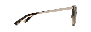 Maui Jim Wood Rose Sunglasses in BROWN - Side View