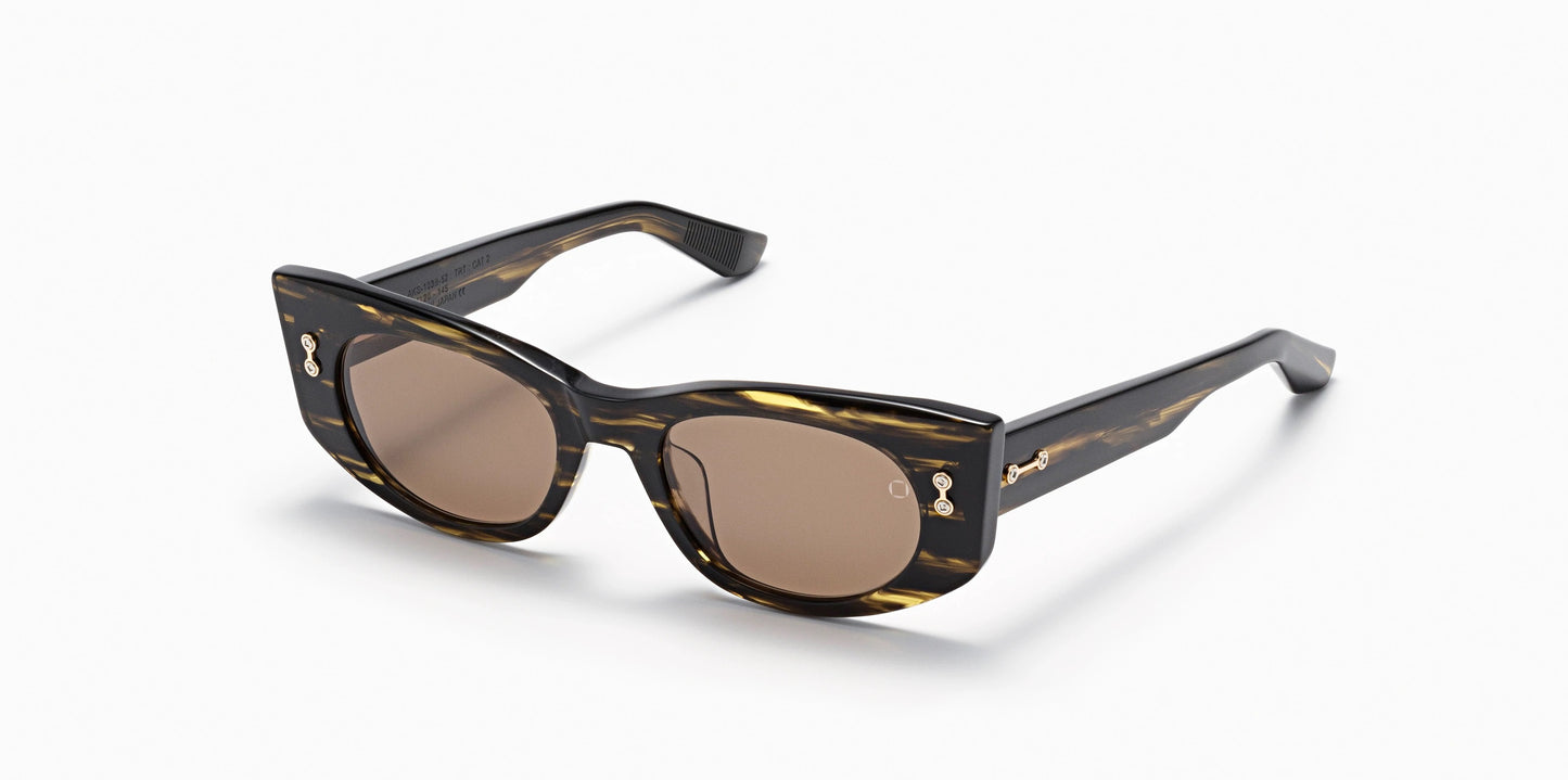 Aquila Sunglasses by Akoni in Black